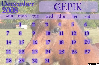 Gepík-kalendář